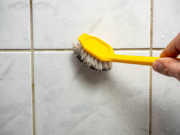 Best Black Mold Removal  in Babson Park, FL